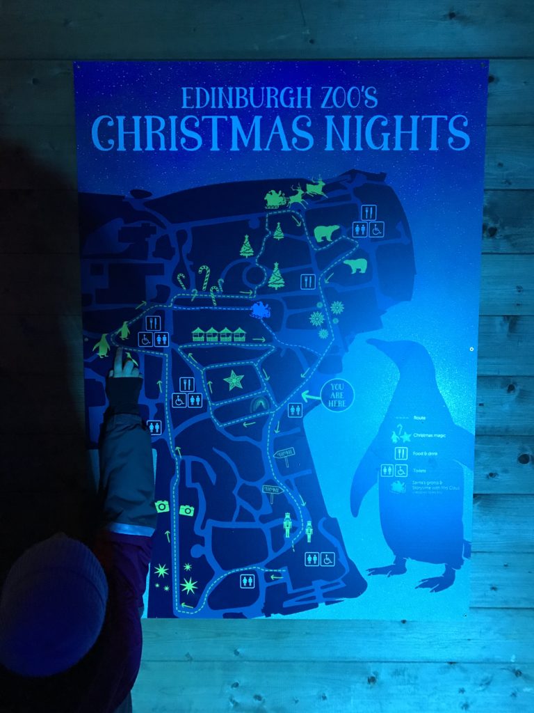 Review Edinburgh Zoo's Christmas Nights