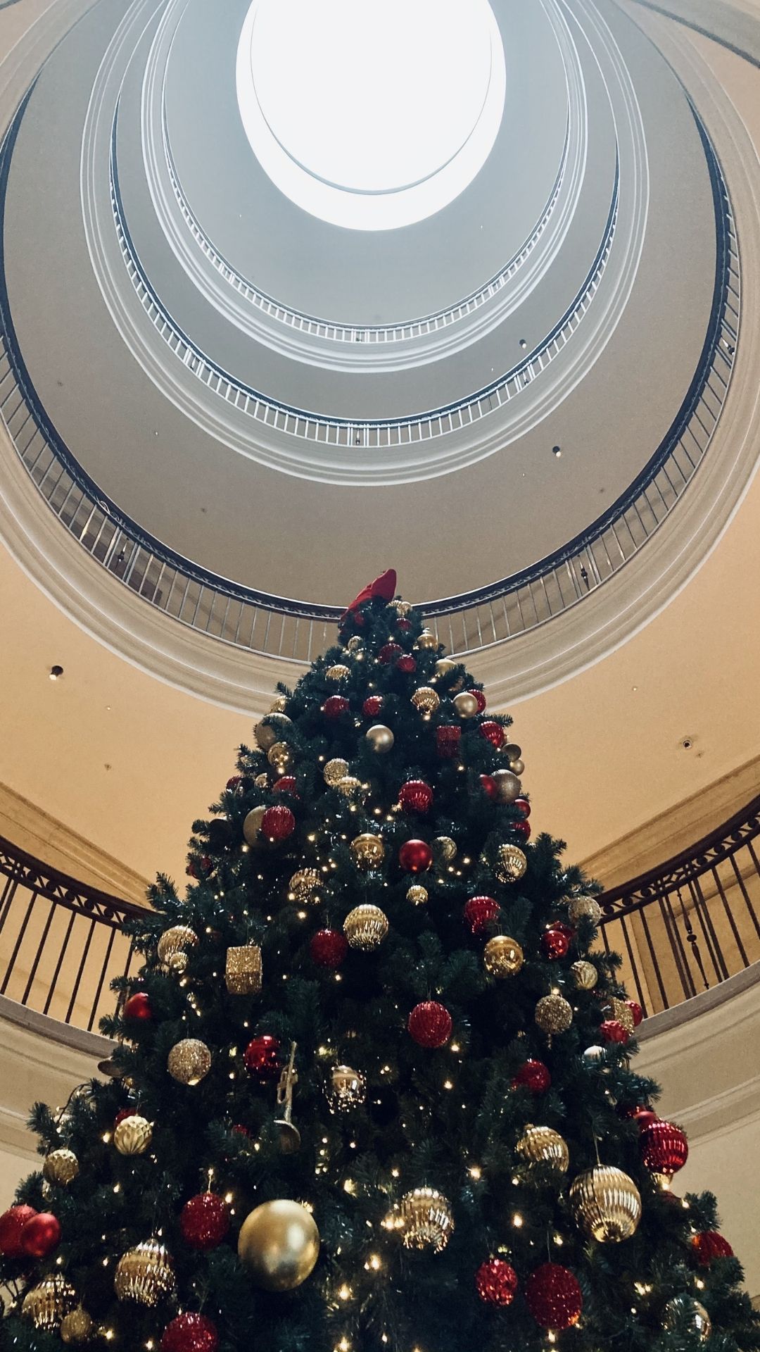 Christmas Tree Trail of Edinburgh 2020