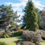 the rock garden at the Botanics Edinburgh