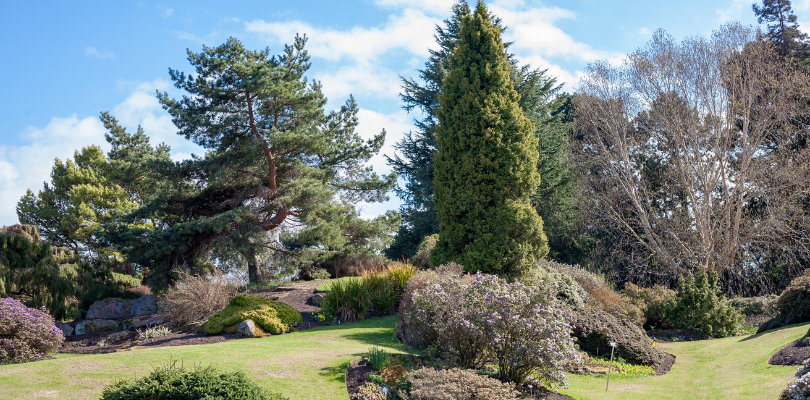 the rock garden at the Botanics Edinburgh