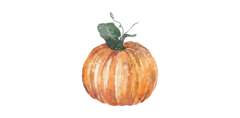 A watercolour of a pumpkin