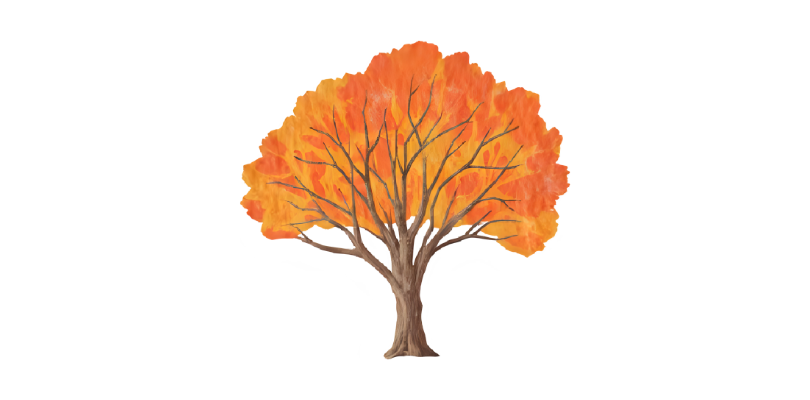 A watercolour of an autumn tree